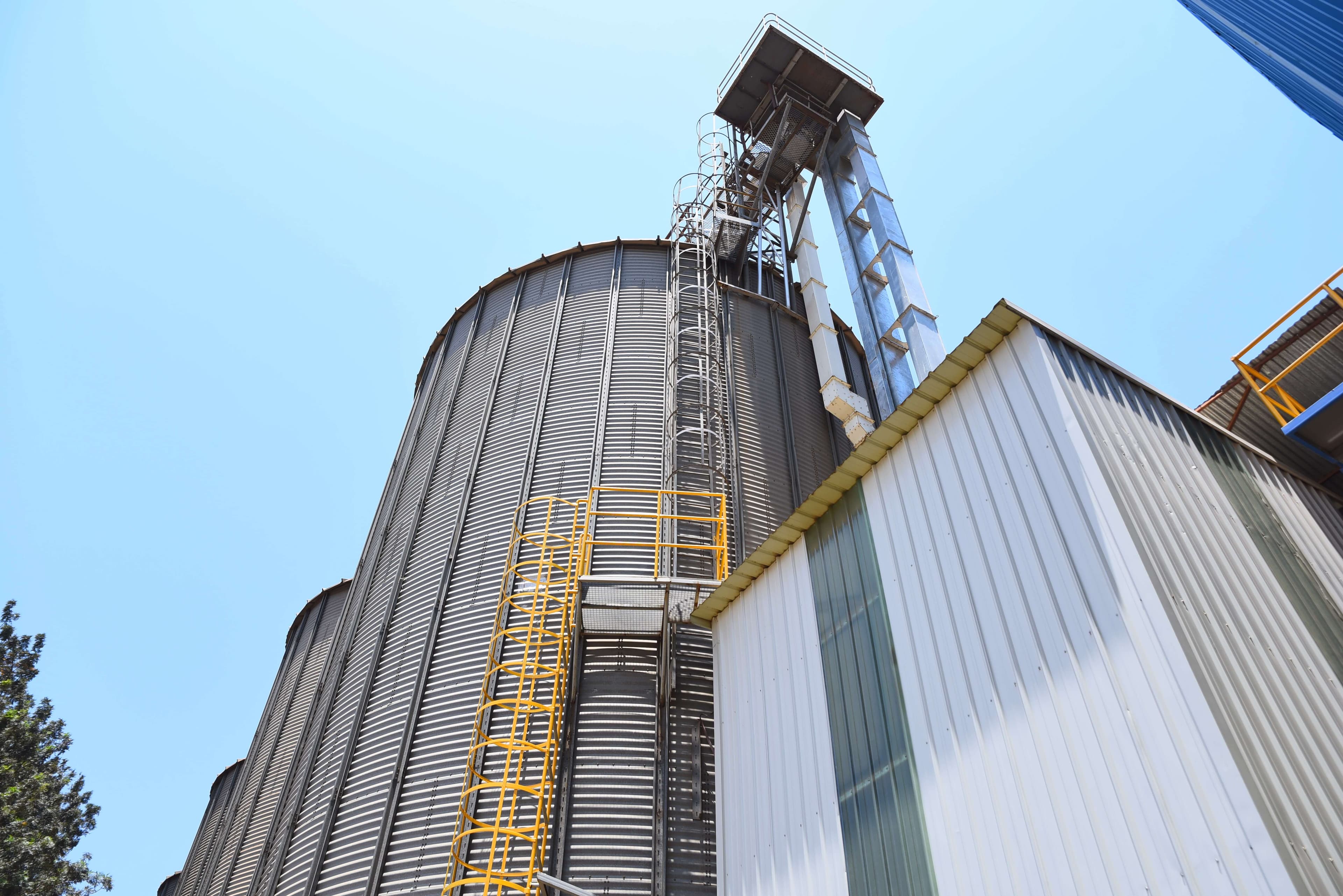 Training & Development