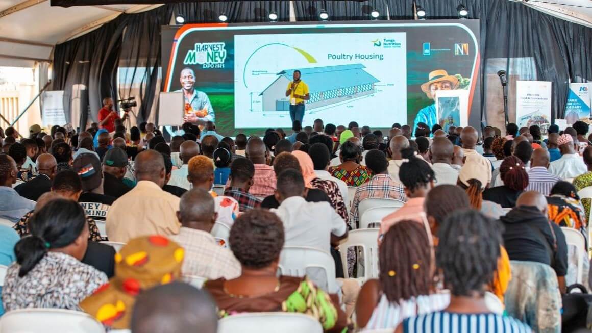 Why Farmer Training is Essential for Successful Animal Farming